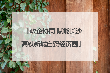 政企协同 赋能长沙高铁新城自贸经济圈