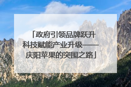 政府引领品牌跃升 科技赋能产业升级——庆阳苹果的突围之路