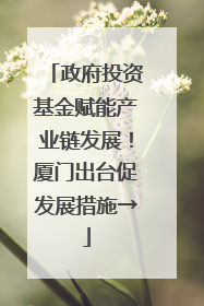 政府投资基金赋能产业链发展！厦门出台促发展措施→