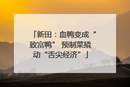 新田：血鸭变成“致富鸭” 预制菜撬动“舌尖经济”