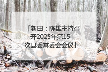 新田：陈雄主持召开2025年第15次县委常委会会议