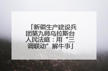新疆生产建设兵团第九师乌拉斯台人民法庭：用“三调联动”解牛事
