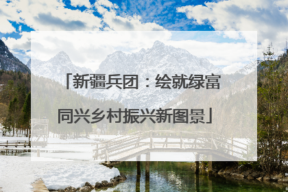 新疆兵团：绘就绿富同兴乡村振兴新图景