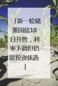 新一轮储蓄国债10日开售，利率下调但仍是投资优选