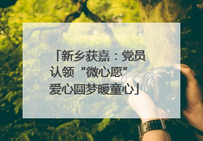 新乡获嘉：党员认领“微心愿” 爱心圆梦暖童心