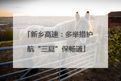 新乡高速：多举措护航“三夏”保畅通