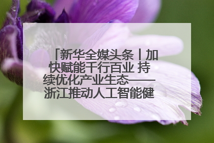 新华全媒头条丨加快赋能千行百业 持续优化产业生态——浙江推动人工智能健康有序发展观察