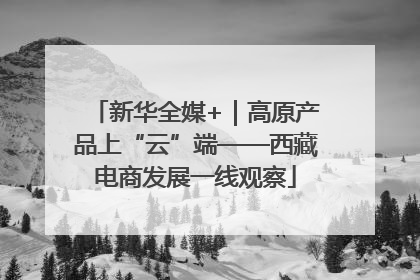 新华全媒+｜高原产品上“云”端——西藏电商发展一线观察