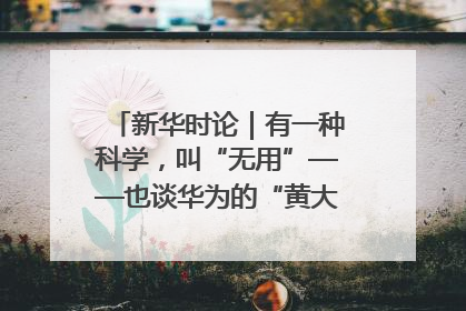 新华时论｜有一种科学，叫“无用”——也谈华为的“黄大年茶思屋”