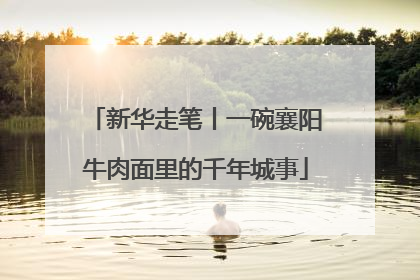 新华走笔丨一碗襄阳牛肉面里的千年城事