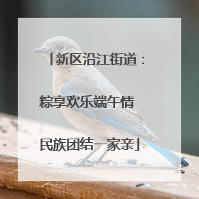 新区沿江街道：粽享欢乐端午情 民族团结一家亲