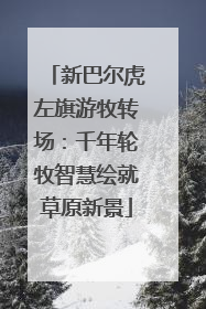 新巴尔虎左旗游牧转场：千年轮牧智慧绘就草原新景