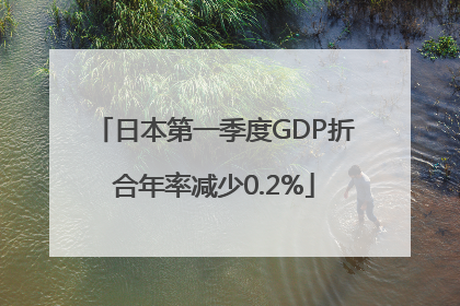 日本第一季度GDP折合年率减少0.2%