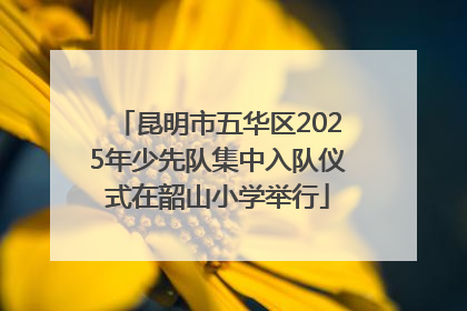 昆明市五华区2025年少先队集中入队仪式在韶山小学举行