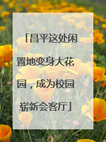 昌平这处闲置地变身大花园，成为校园崭新会客厅