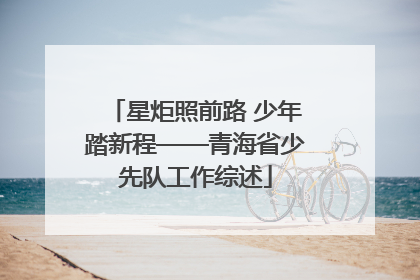 星炬照前路 少年踏新程——青海省少先队工作综述