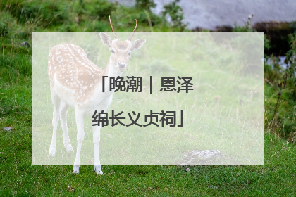 晚潮｜恩泽绵长义贞祠