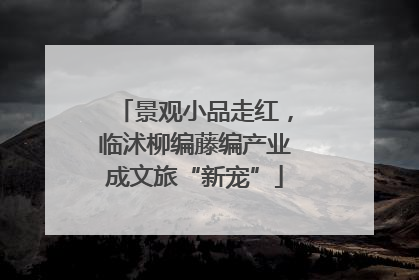 景观小品走红，临沭柳编藤编产业成文旅“新宠”