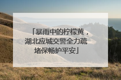 暴雨中的柠檬黄，湖北应城交警全力疏堵保畅护平安