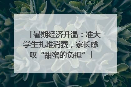 暑期经济升温：准大学生扎堆消费，家长感叹“甜蜜的负担”