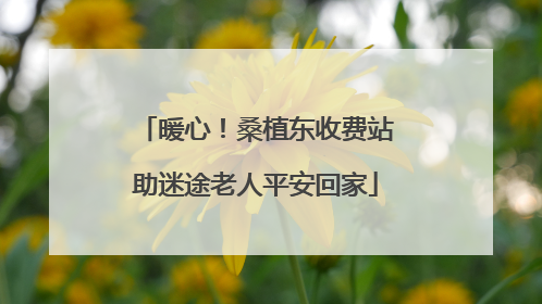 暖心！桑植东收费站助迷途老人平安回家