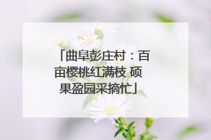 曲阜彭庄村：百亩樱桃红满枝 硕果盈园采摘忙