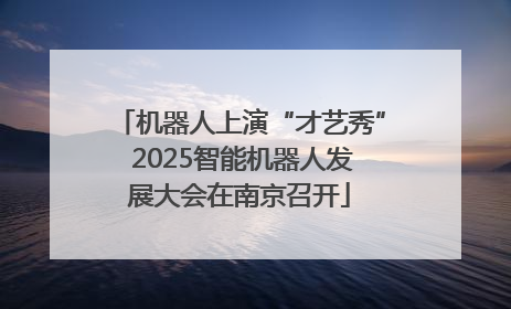 机器人上演“才艺秀” 2025智能机器人发展大会在南京召开