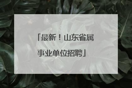 最新！山东省属事业单位招聘