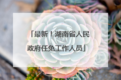 最新！湖南省人民政府任免工作人员