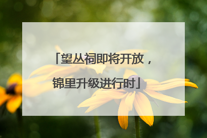望丛祠即将开放，锦里升级进行时