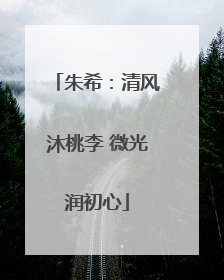 朱希：清风沐桃李 微光润初心