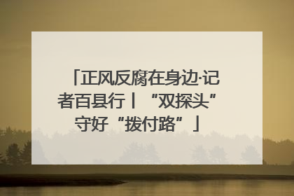 正风反腐在身边·记者百县行丨“双探头”守好“拨付路”