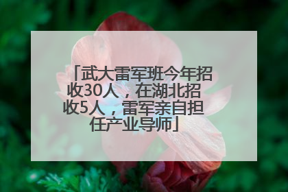 武大雷军班今年招收30人，在湖北招收5人，雷军亲自担任产业导师