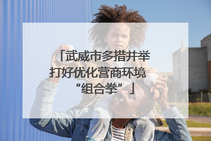 武威市多措并举打好优化营商环境“组合拳”