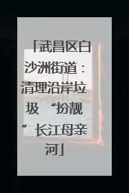 武昌区白沙洲街道：清理沿岸垃圾 “扮靓”长江母亲河