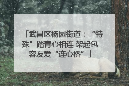 武昌区杨园街道：“特殊”踏青心相连 架起包容友爱“连心桥”