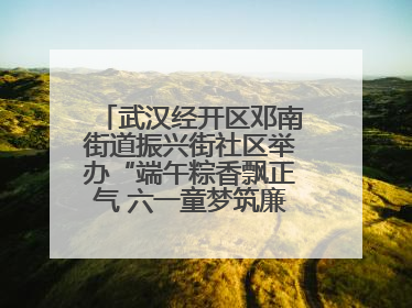 武汉经开区邓南街道振兴街社区举办“端午粽香飘正气 六一童梦筑廉心” 主题活动