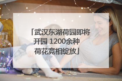 武汉东湖荷园即将开园 1200余种荷花竞相绽放
