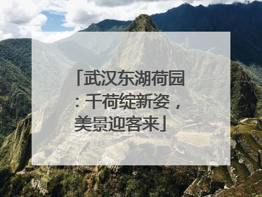 武汉东湖荷园：千荷绽新姿，美景迎客来