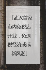 武汉首家市内免税店开业，免退税经济或成新风潮