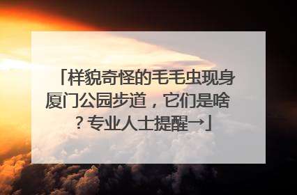样貌奇怪的毛毛虫现身厦门公园步道，它们是啥？专业人士提醒→