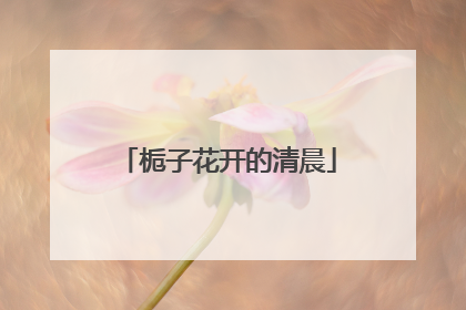 栀子花开的清晨