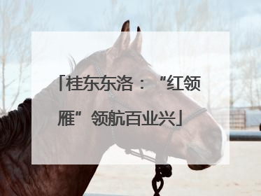 桂东东洛：“红领雁”领航百业兴