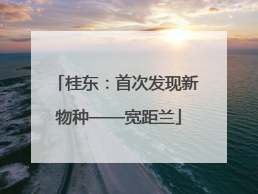 桂东：首次发现新物种——宽距兰