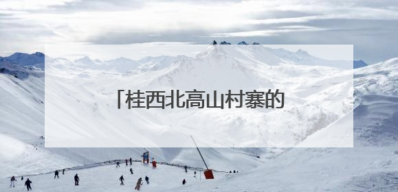 桂西北高山村寨的“云端”致富路
