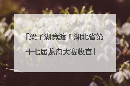 梁子湖竞渡！湖北省第十七届龙舟大赛收官