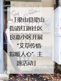 梁山县梁山街道红旗社区良嘉小区开展“艾草传情·粽暖人心”主题活动