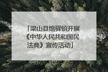 梁山县馆驿镇开展《中华人民共和国民法典》宣传活动