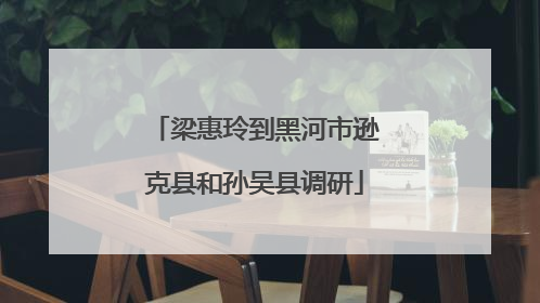 梁惠玲到黑河市逊克县和孙吴县调研