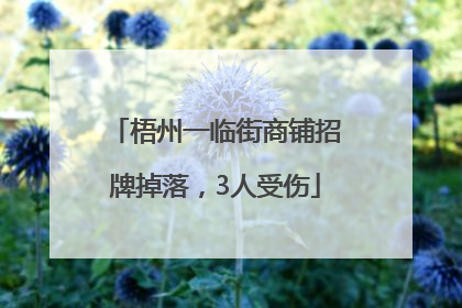 梧州一临街商铺招牌掉落，3人受伤